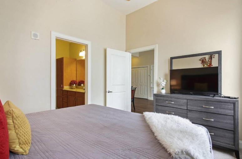 نيو أورلينز Amazing Condos Beautiful View 2 Blocks To French Quarter, Small Rooftop Pool, Gym, Seanger Theater, Super Dome, And Bourbon St المظهر الخارجي الصورة